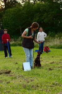 Foto: Derfian, Flickr CC